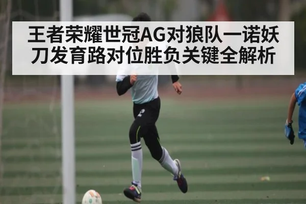 王者荣耀世冠AG对狼队一诺妖刀发育路对位胜负关键全解析