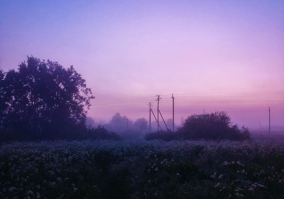 DB真人-沈阳“战书”,收到回应了!